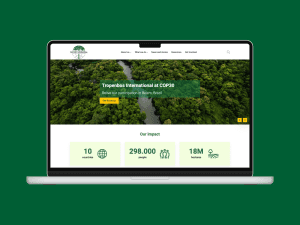 screenshot rocks (3)